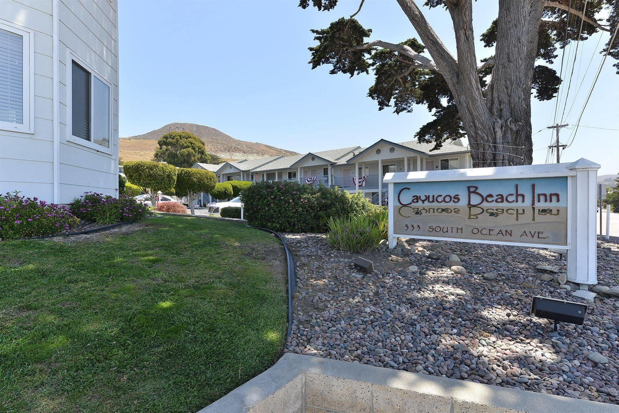 Cayucos Beach Inn מראה חיצוני תמונה